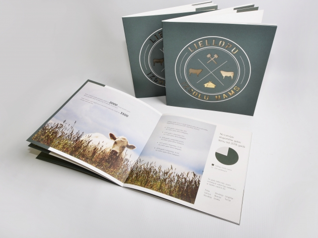 Beef cattle breeds brochure design