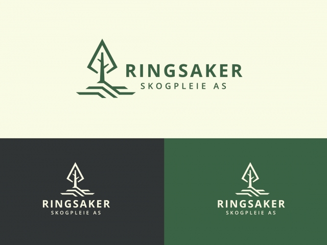 Ringsaker corporate style development