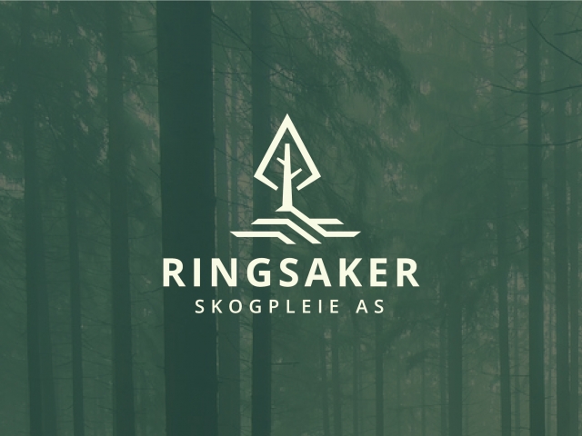 Ringsaker corporate style development