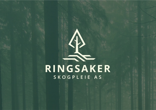 Ringsaker corporate style development