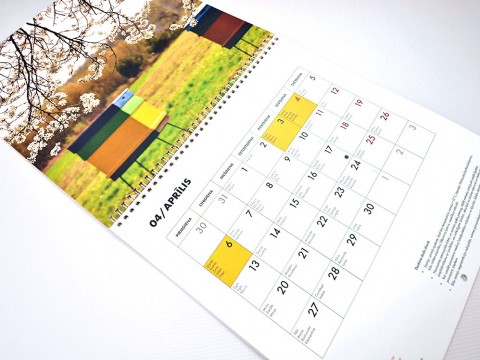 2025 Wall Planner production