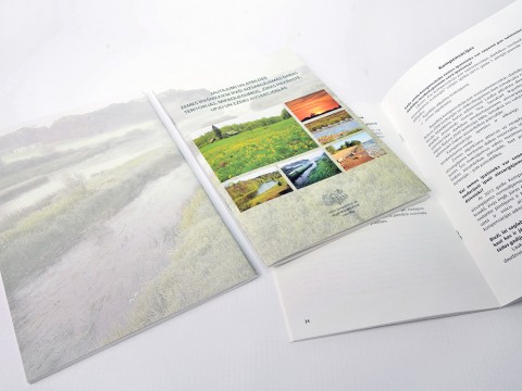 Brochure printing