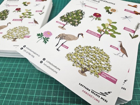 sticker printing in sheets and contour cutting