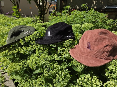 Embroidery of velvet cap